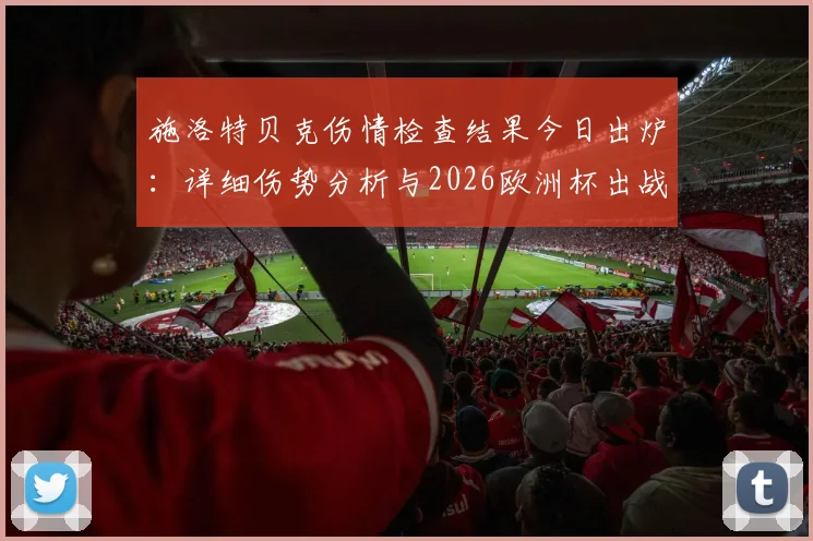 施洛特贝克伤情检查结果今日出炉:详细伤势分析与2026欧洲杯出战前景评估,谁将顶替他的位置?